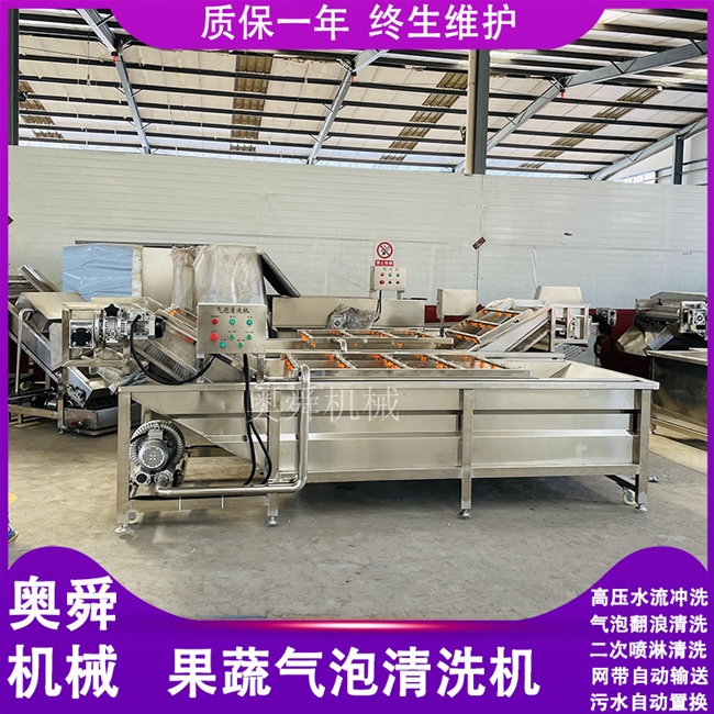 自動(dòng)輸送噴淋式小型清洗機(jī) 豆芽菜清洗去豆皮設(shè)備 果蔬氣泡清洗機(jī)